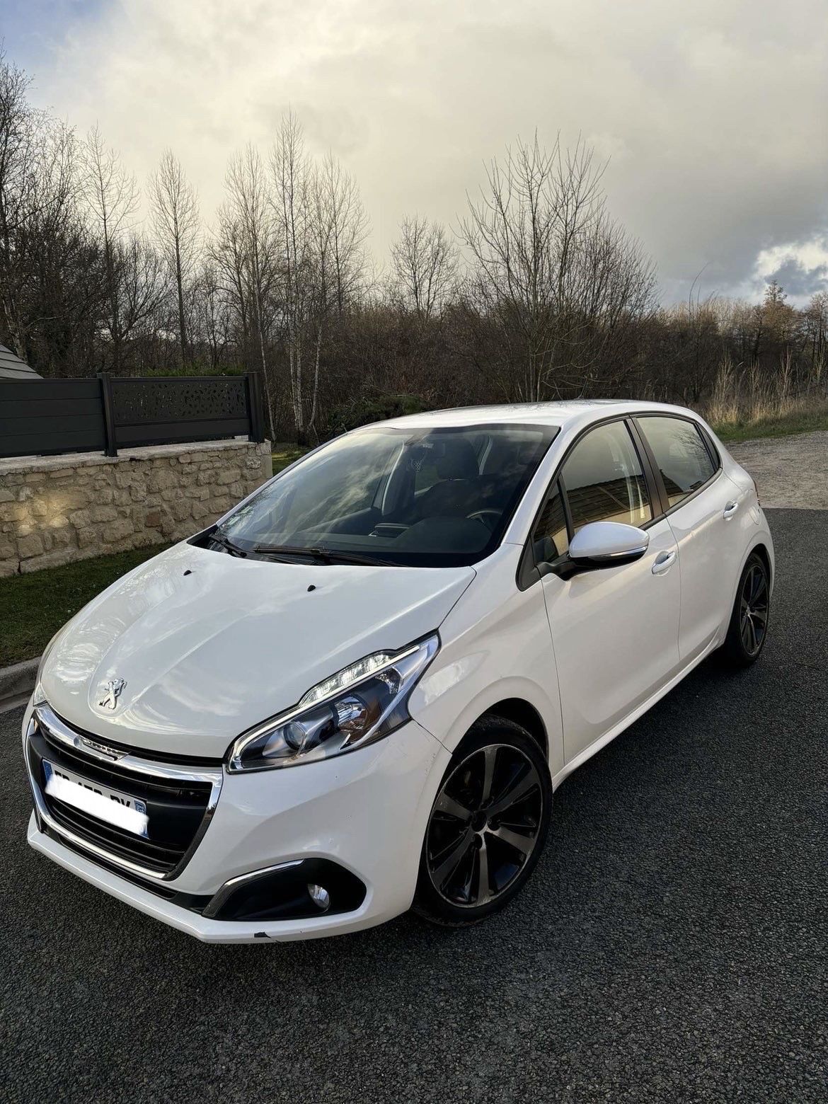 PEUGEOT 208I Phase 2 5 Portes 1.5 Blue HDi S&S 100 cv