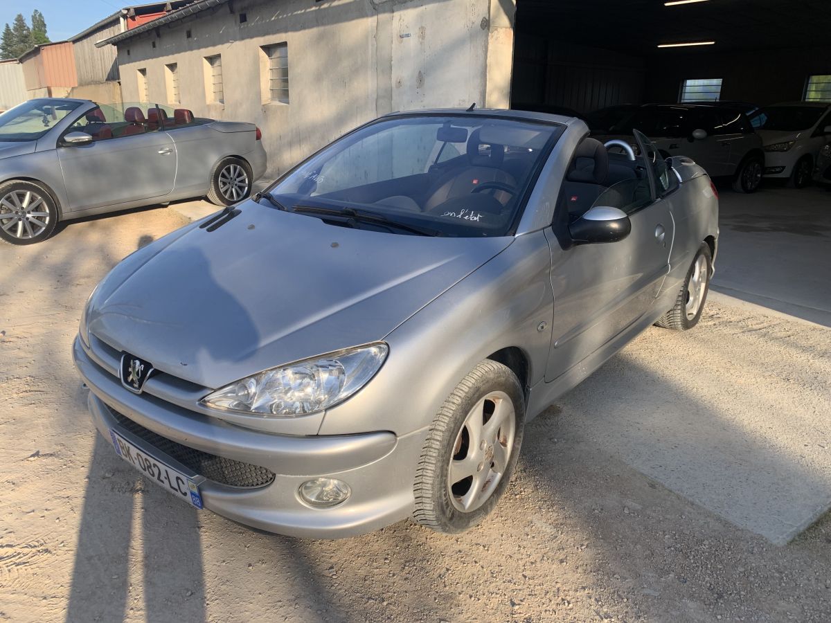 Peugeot 206 1,6 16v 110 cv