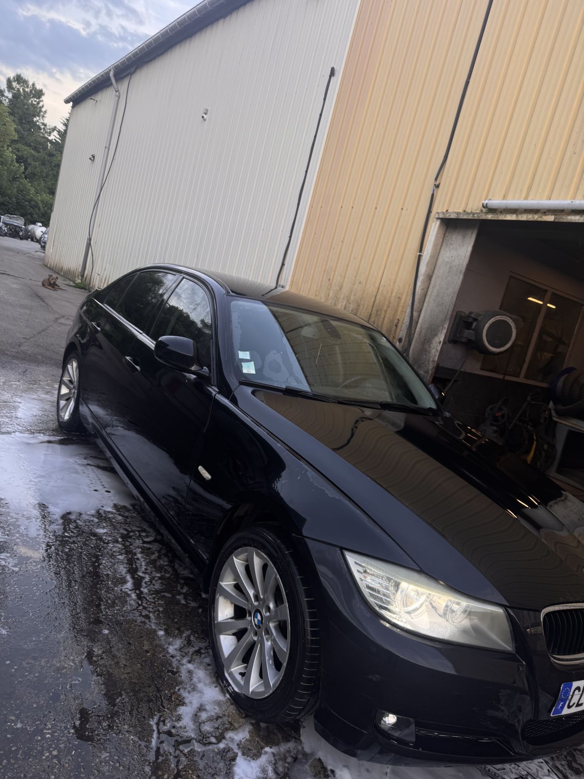 e90 LCI 316D