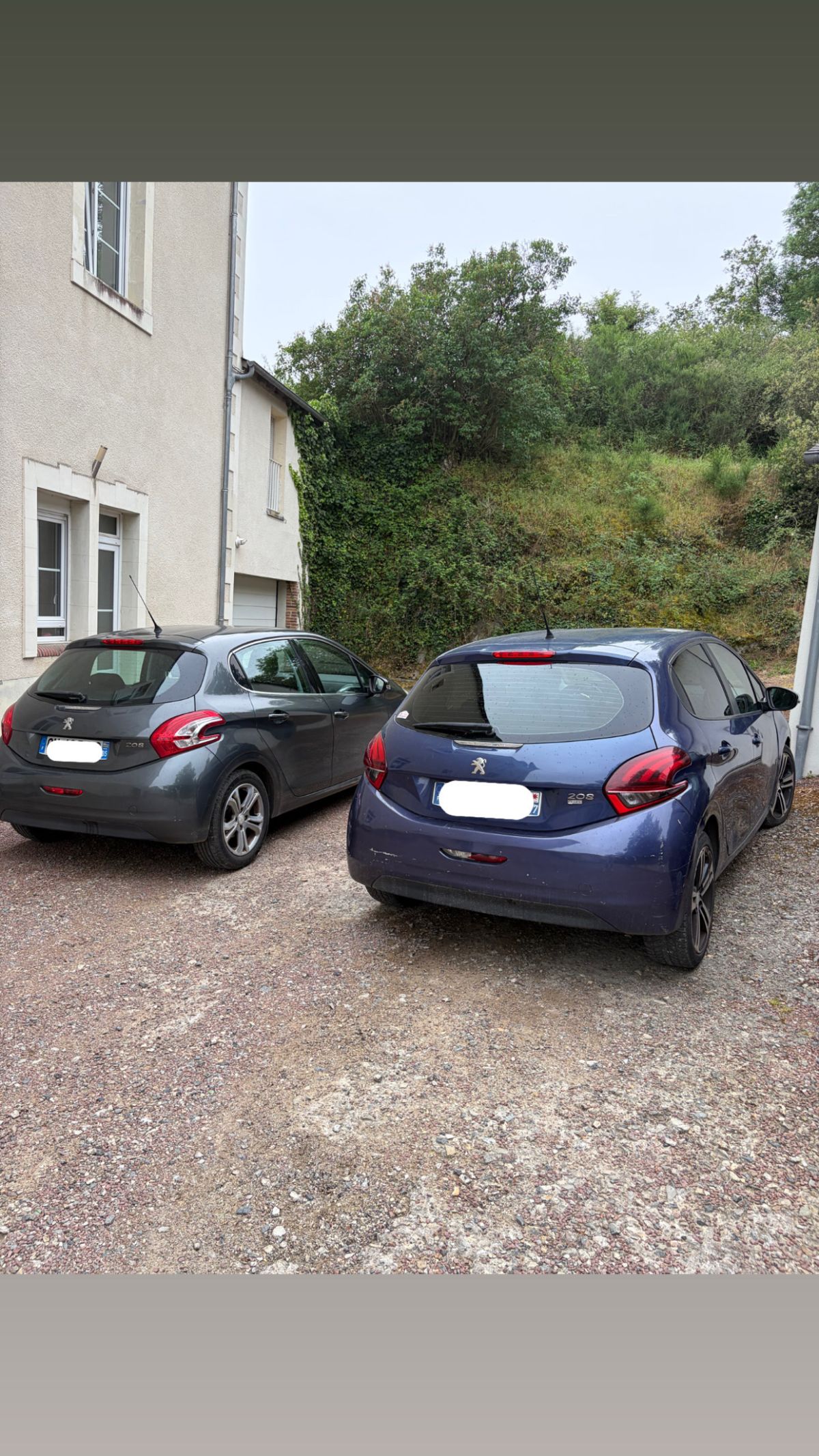 Peugeot 208 1.6HDI & 1.6VTI