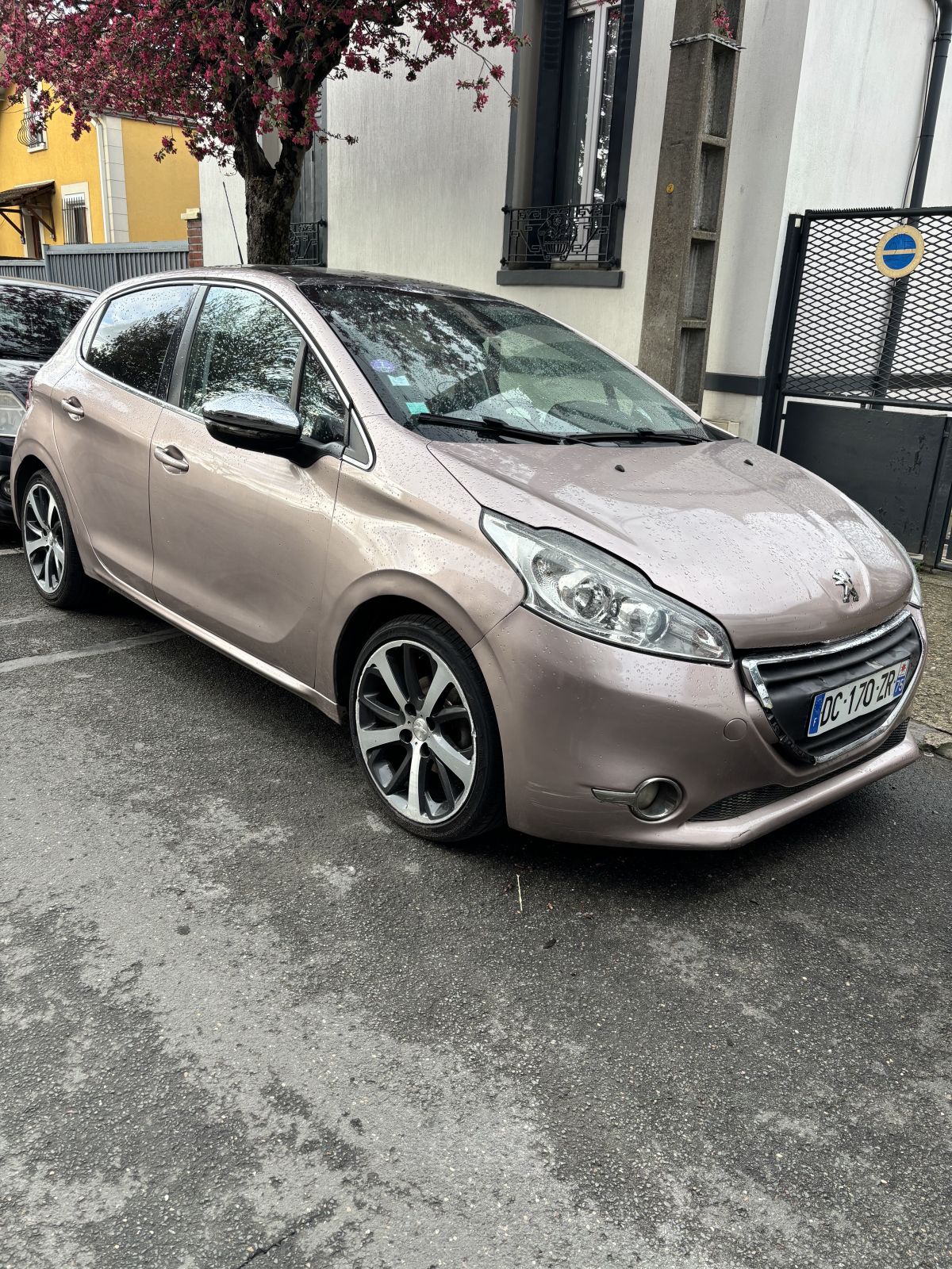 Peugeot 208 feline