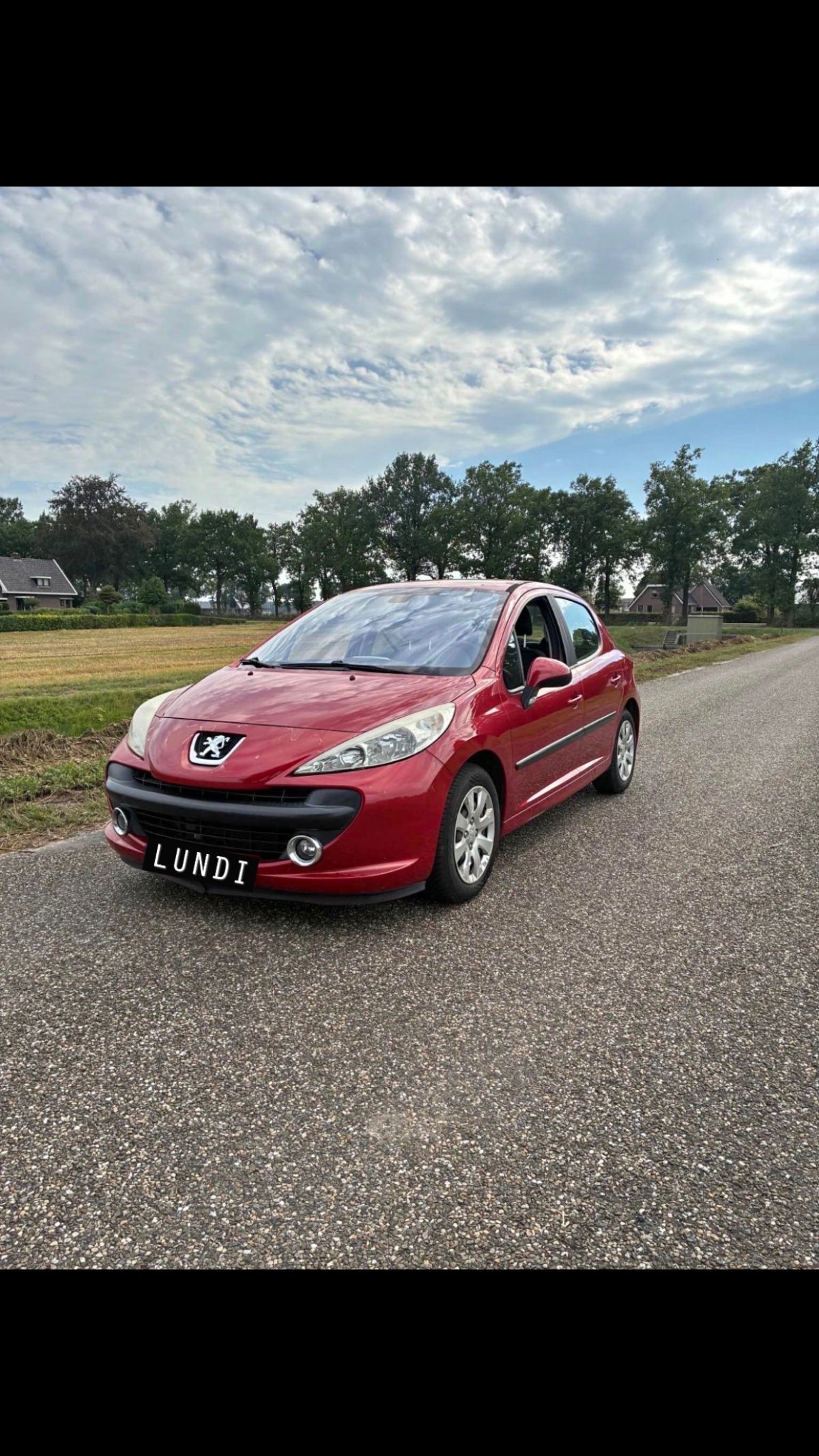 peugeot 207