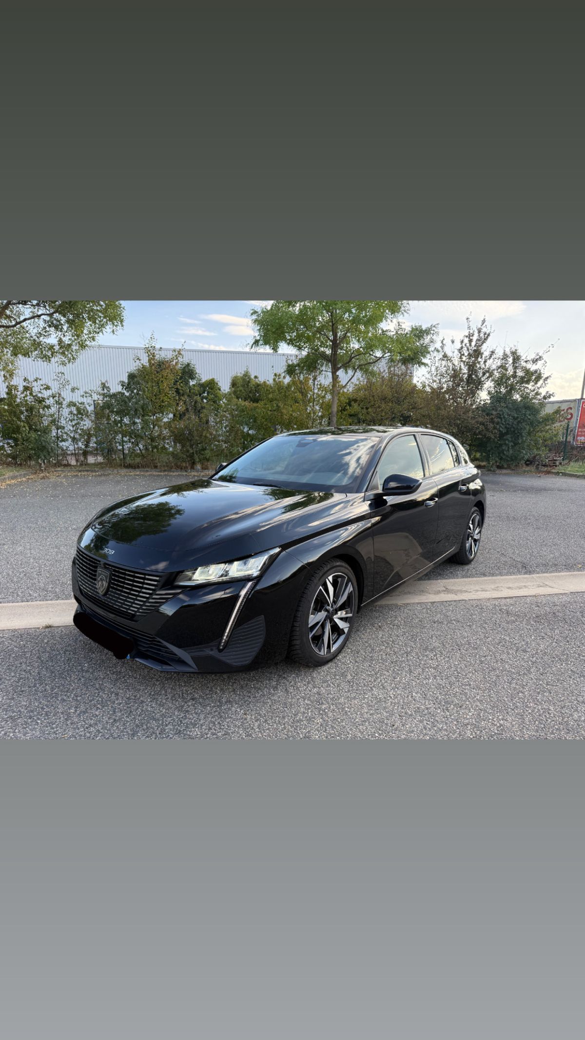 308 allure