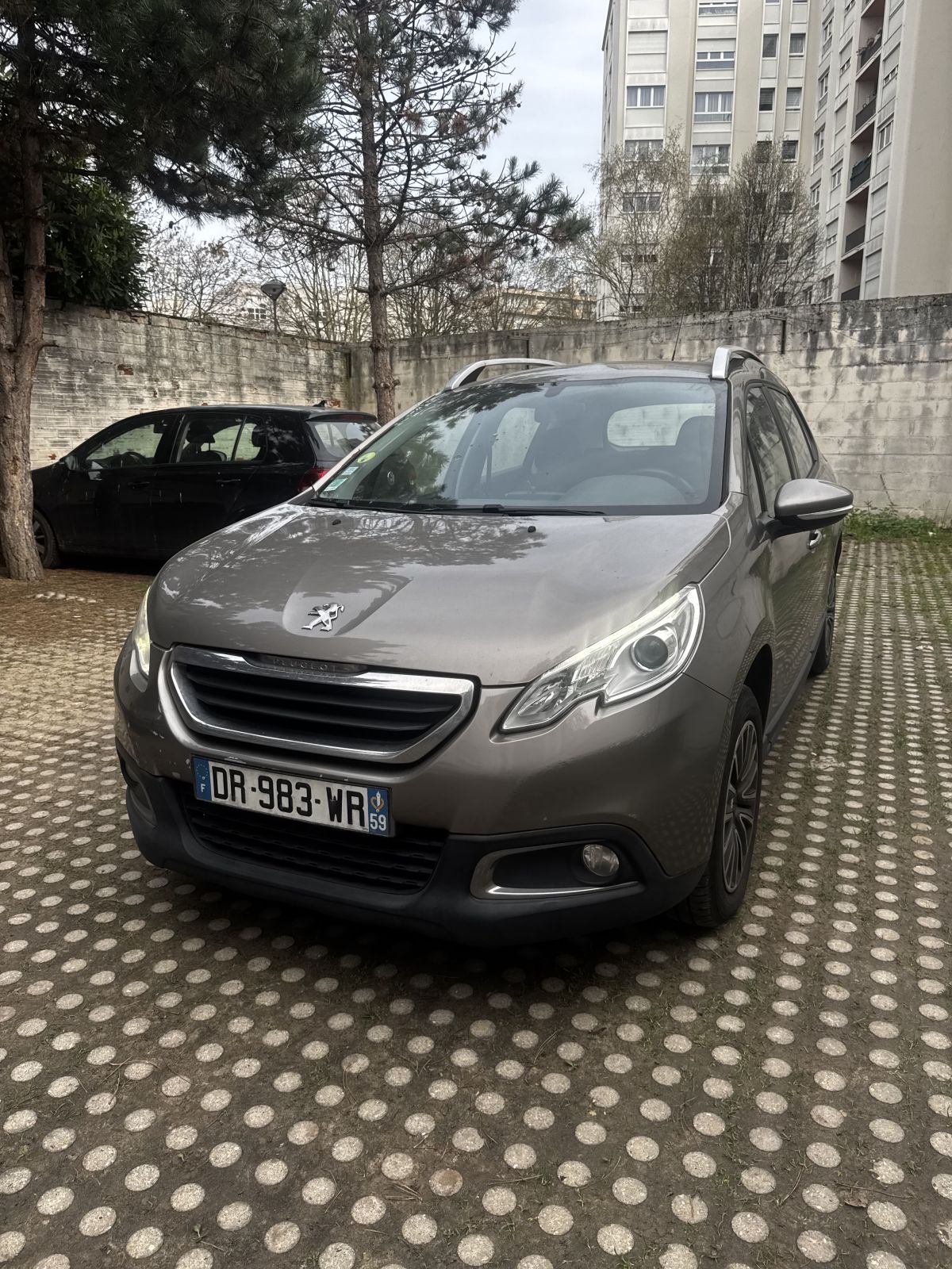 Peugeot 2008 1,6l eHDI