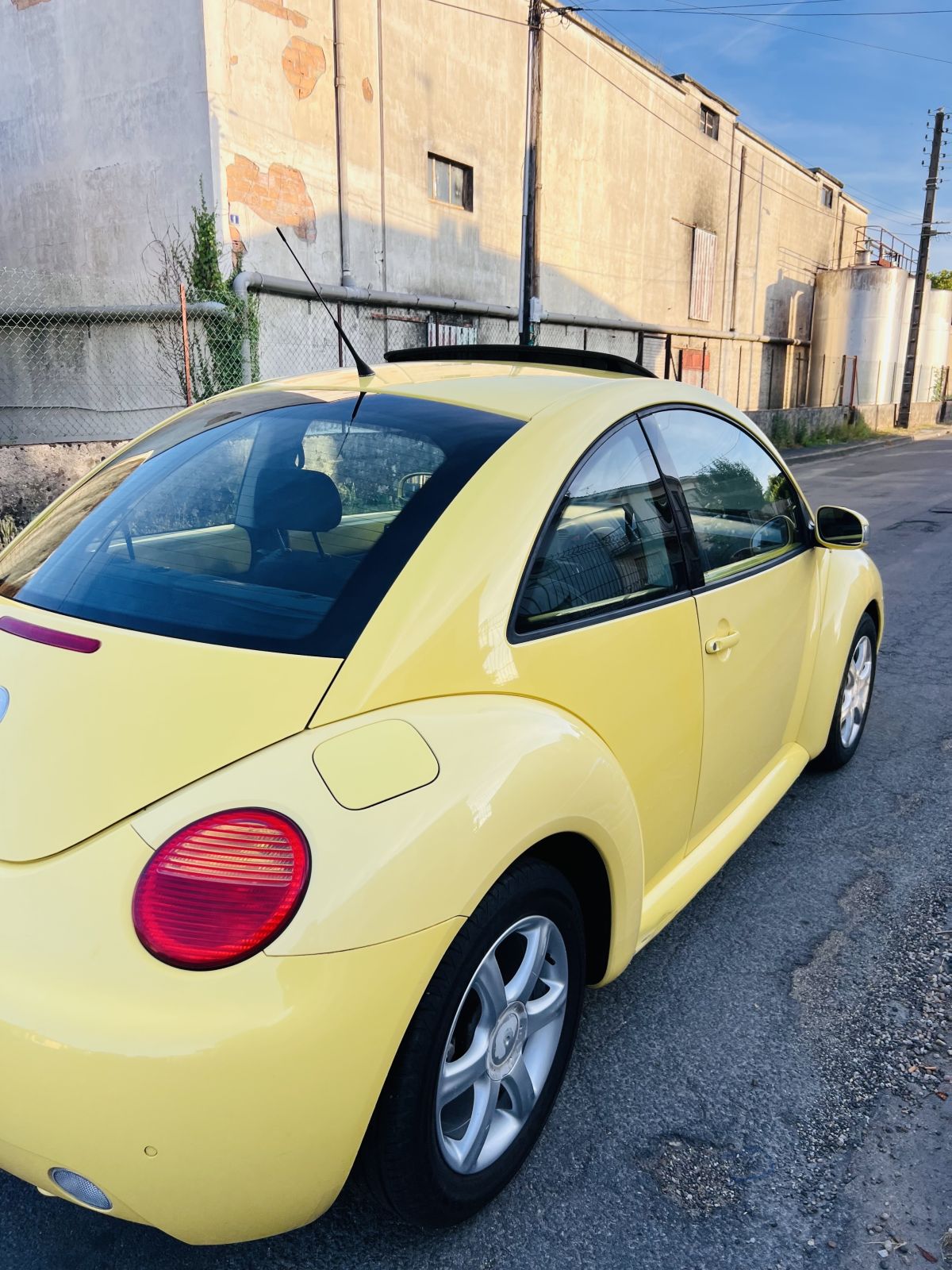 New beetle