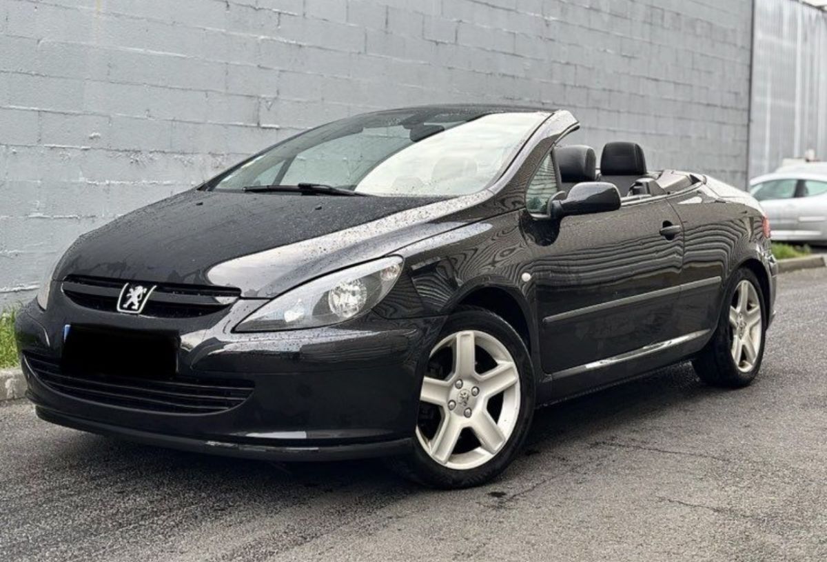 307 CC 2.0 180 féline