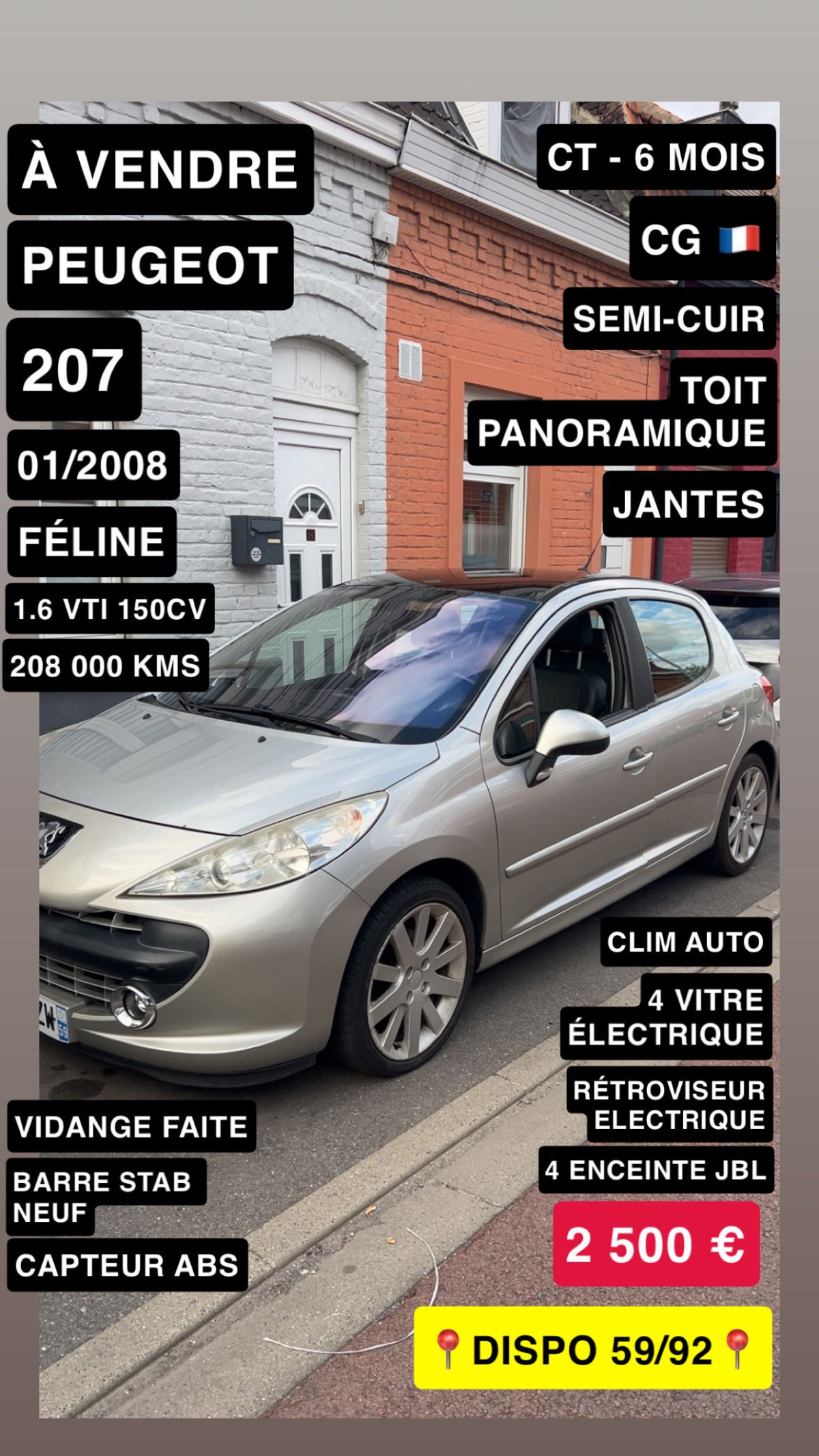 207 FÉLINE