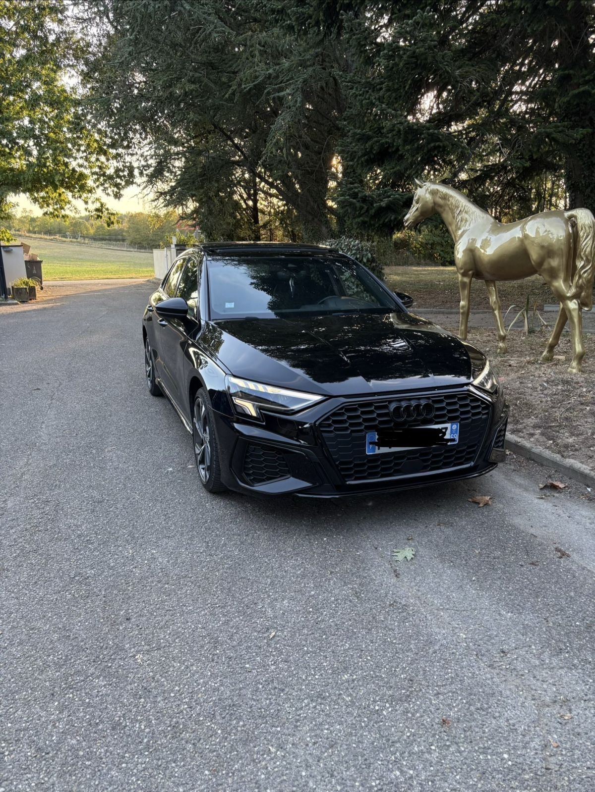 Photo de Audi a3