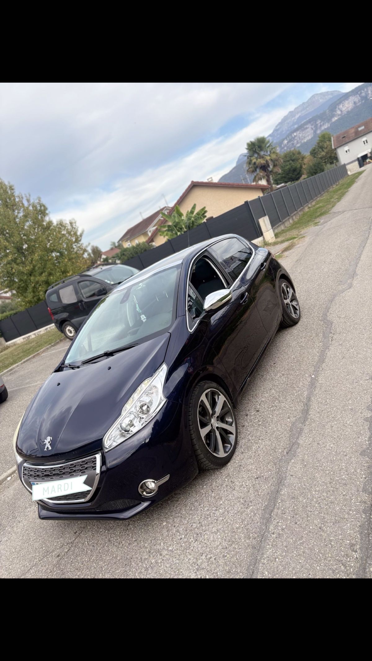 Photo de 208 féline