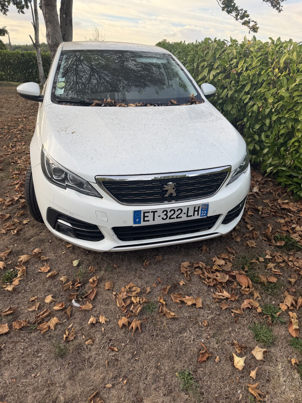 Photo de Peugeot 308