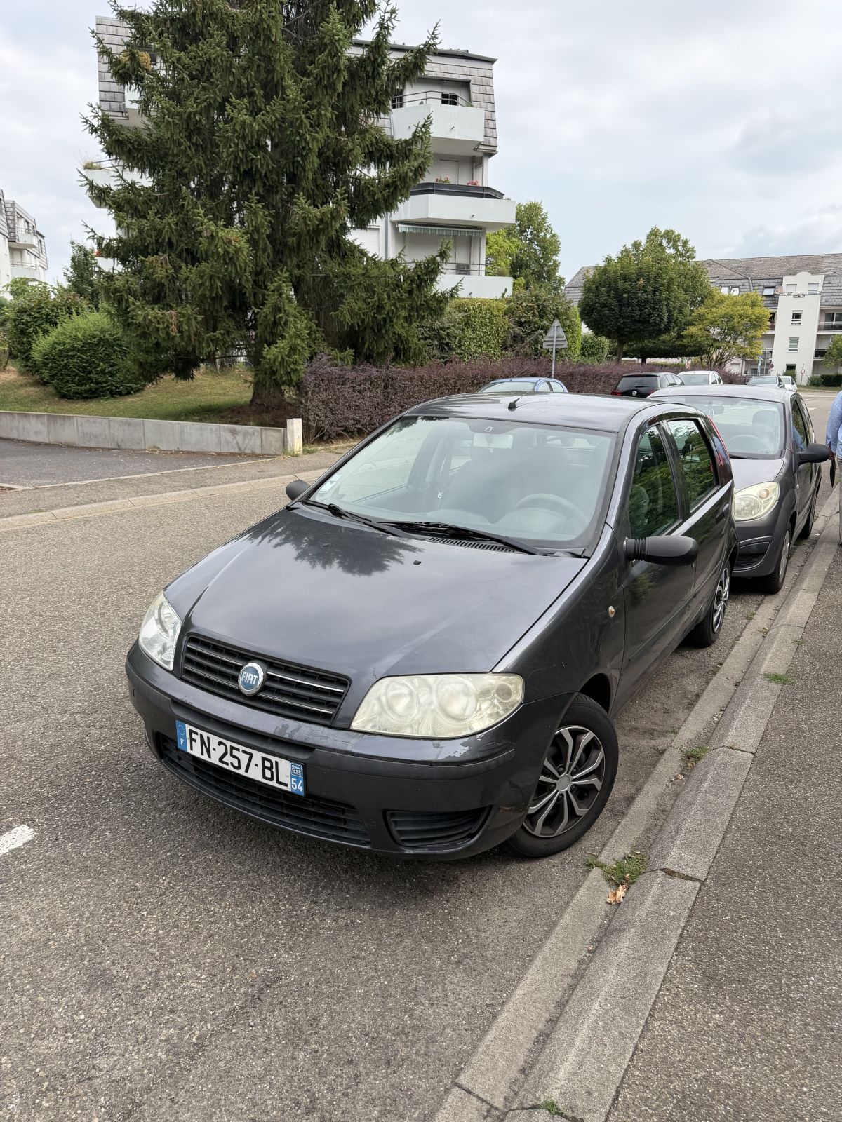 fiat punto