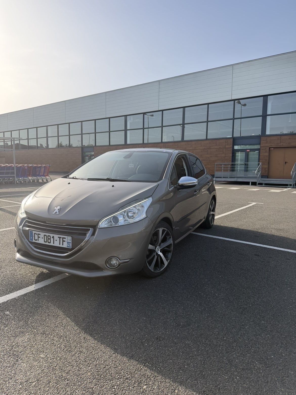 Photo de 🚗 Peugeot 208 Féline