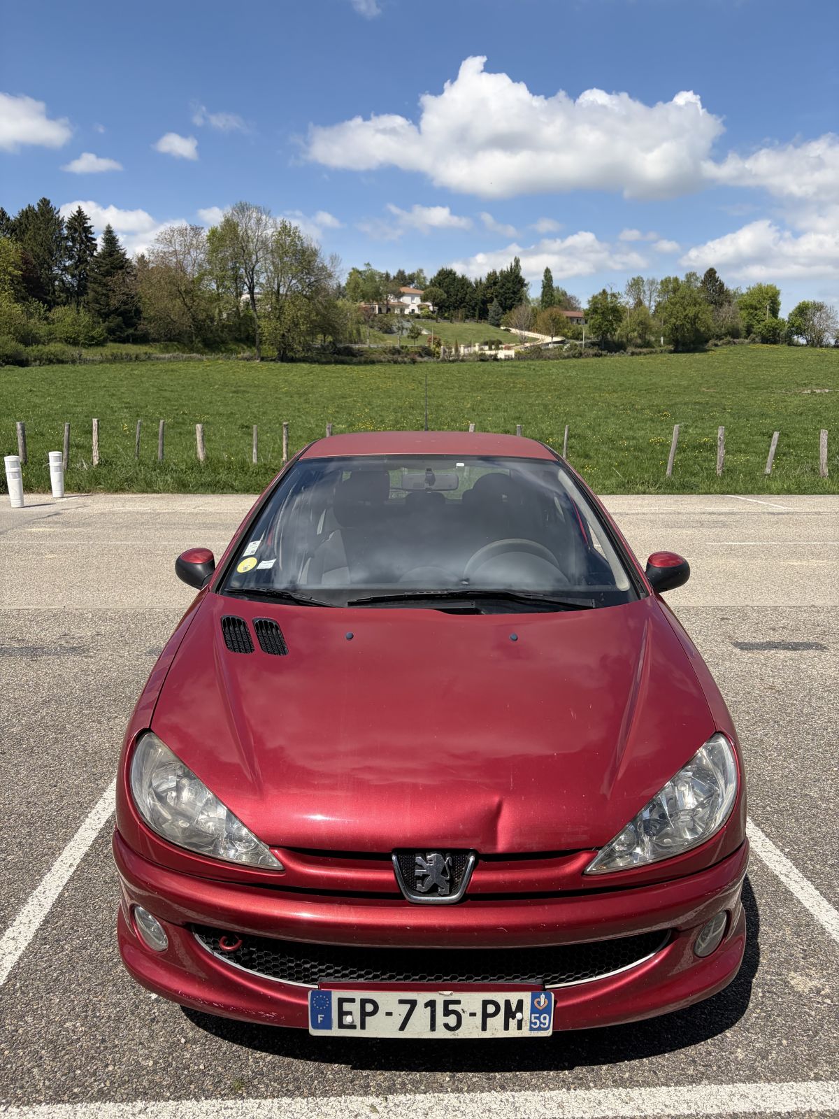 Peugeot 206 1.4i 75 chevaux 2006