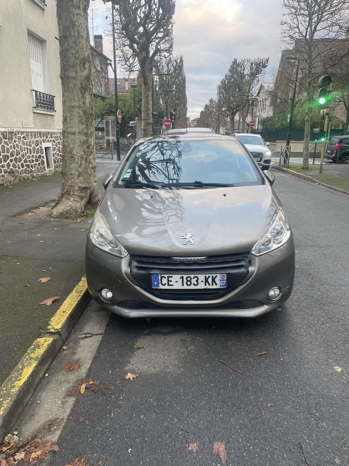 208 féline 1.6hdi boite6