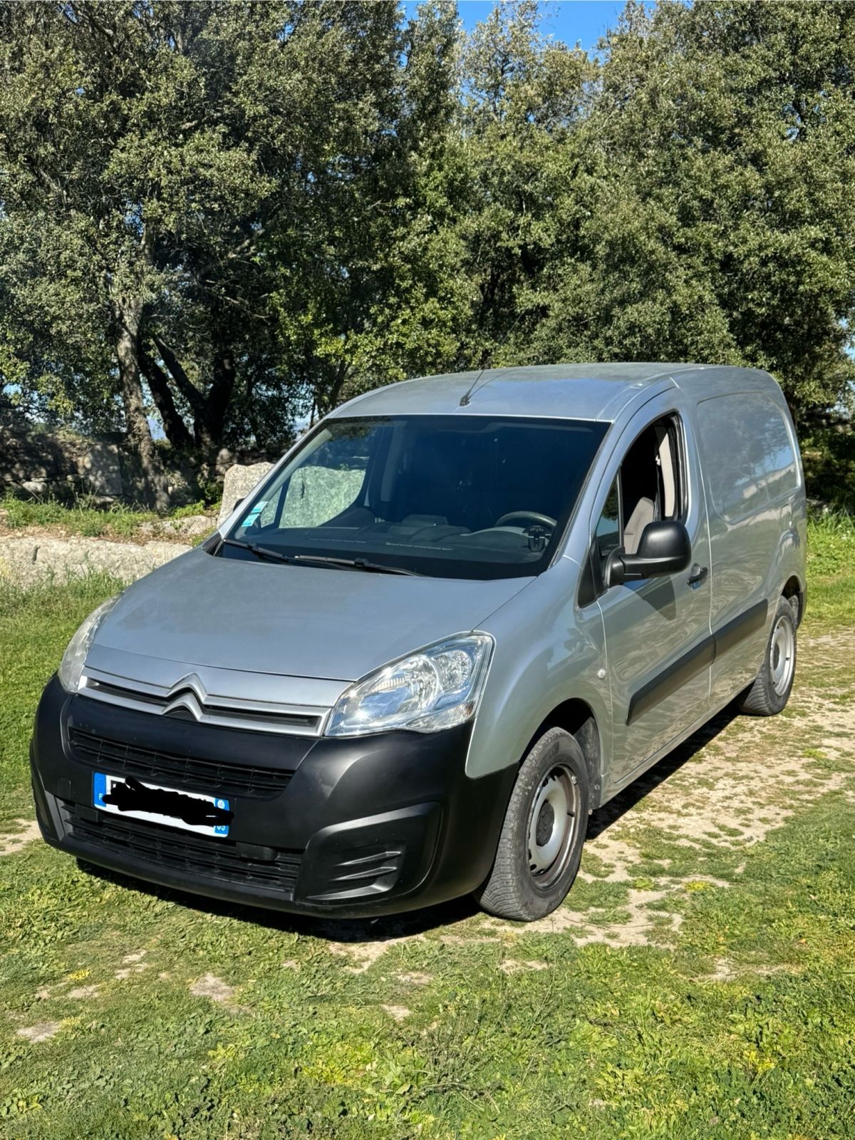 Berlingo